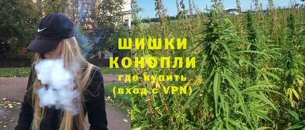 гидра Алексеевка