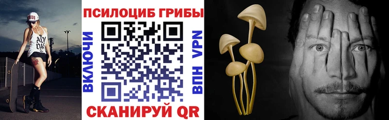 Галлюциногенные грибы ЛСД hydra ONION Анадырь закладки